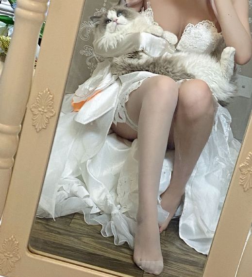 危城国语在线观看免费完整版