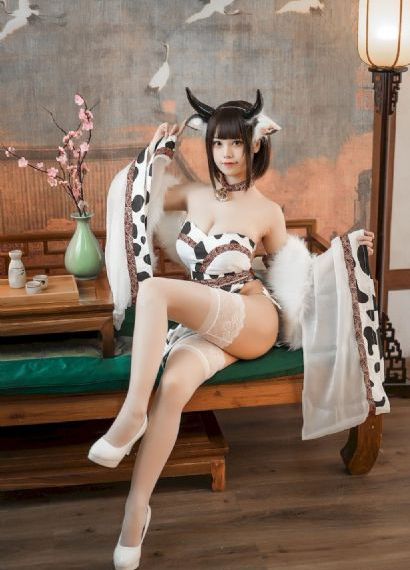 二炮手电视剧全集免费